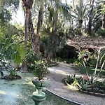 Barma Del Mar *