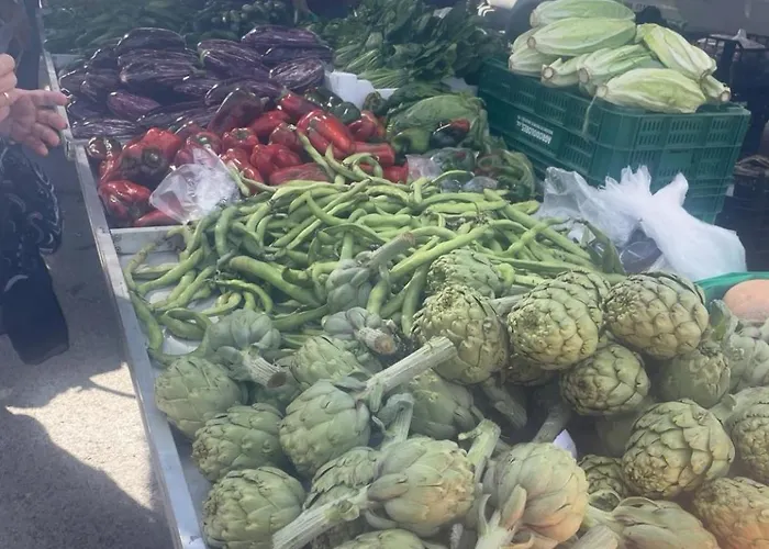 Barma Del Mar Torrevieja