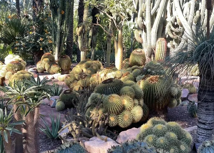 Barma Del Mar Lägenhet Torrevieja